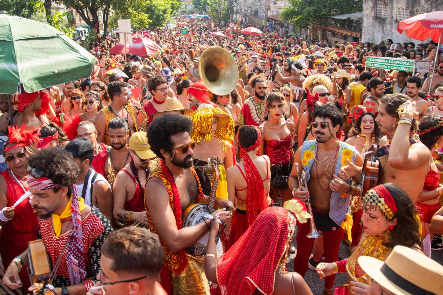 Baile do Boitatá reúne 50 mil foliões e celebra três décadas de história
